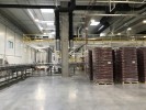 IMG 0369